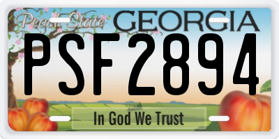 GA license plate PSF2894