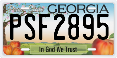 GA license plate PSF2895
