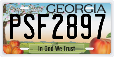 GA license plate PSF2897