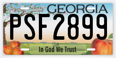 GA license plate PSF2899