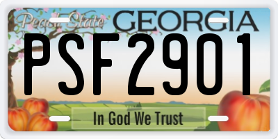 GA license plate PSF2901