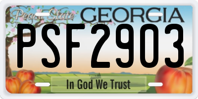 GA license plate PSF2903