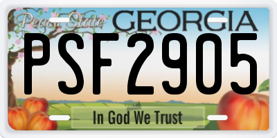 GA license plate PSF2905