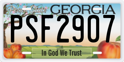 GA license plate PSF2907