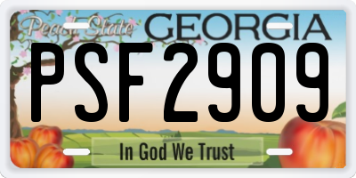 GA license plate PSF2909