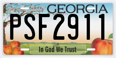 GA license plate PSF2911