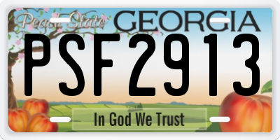 GA license plate PSF2913