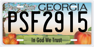 GA license plate PSF2915