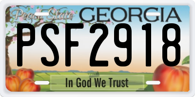 GA license plate PSF2918