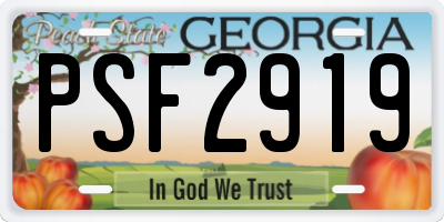 GA license plate PSF2919