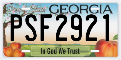 GA license plate PSF2921