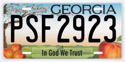 GA license plate PSF2923