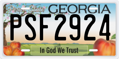 GA license plate PSF2924