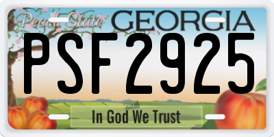 GA license plate PSF2925