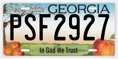 GA license plate PSF2927