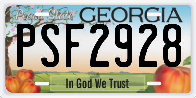 GA license plate PSF2928