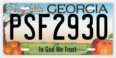 GA license plate PSF2930