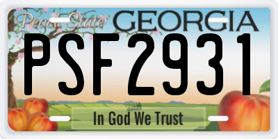 GA license plate PSF2931