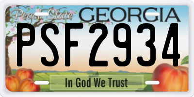 GA license plate PSF2934