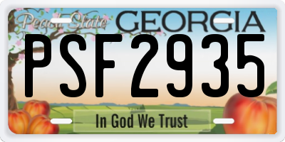 GA license plate PSF2935
