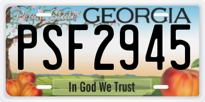 GA license plate PSF2945