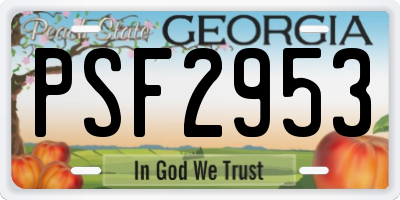 GA license plate PSF2953