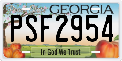 GA license plate PSF2954