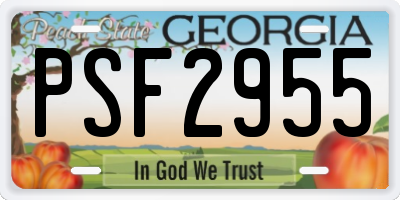 GA license plate PSF2955