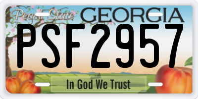 GA license plate PSF2957