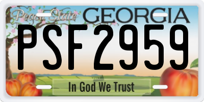 GA license plate PSF2959