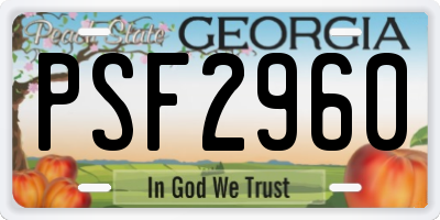 GA license plate PSF2960