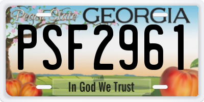 GA license plate PSF2961