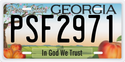 GA license plate PSF2971