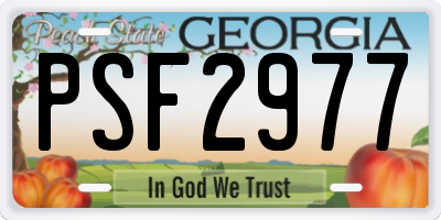 GA license plate PSF2977
