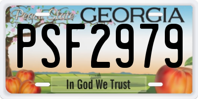 GA license plate PSF2979