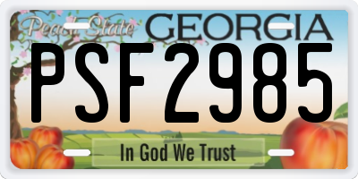 GA license plate PSF2985