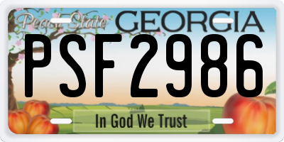 GA license plate PSF2986