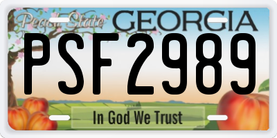 GA license plate PSF2989