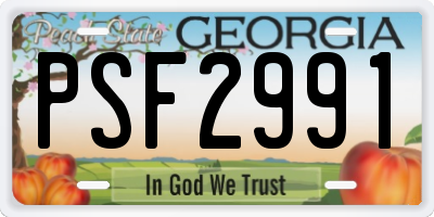 GA license plate PSF2991