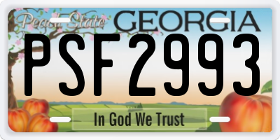 GA license plate PSF2993