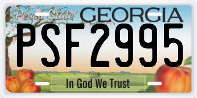 GA license plate PSF2995