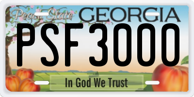 GA license plate PSF3000