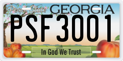 GA license plate PSF3001