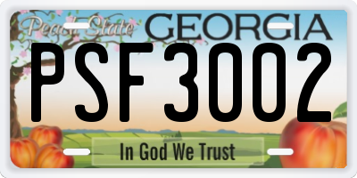 GA license plate PSF3002