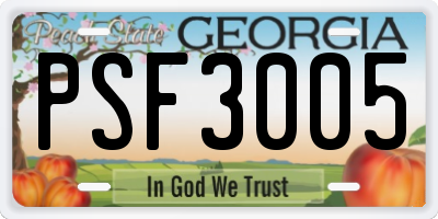 GA license plate PSF3005
