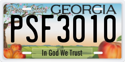 GA license plate PSF3010