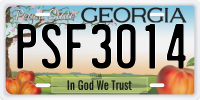 GA license plate PSF3014