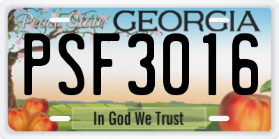 GA license plate PSF3016