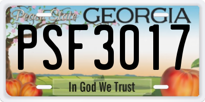 GA license plate PSF3017