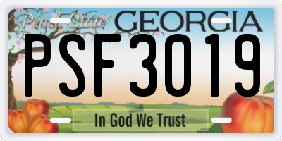 GA license plate PSF3019